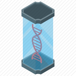 DNA