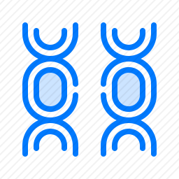 <em>遗传</em>