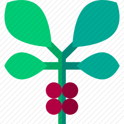 咖啡树