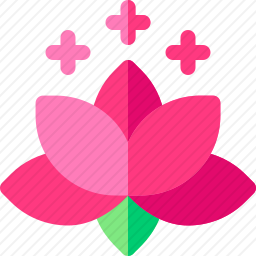 <em>莲花</em>