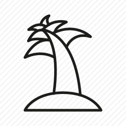 棕榈树