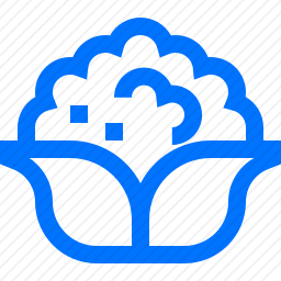 <em>花菜</em>