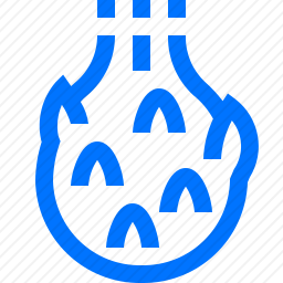 火龙果