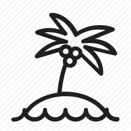 棕榈树