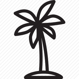 椰子树