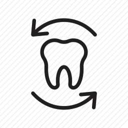 <em>牙齿</em>
