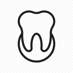 <em>牙齿</em>