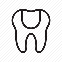 <em>牙齿</em>