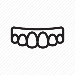 <em>牙齿</em>
