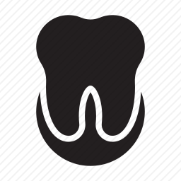 <em>牙齿</em>