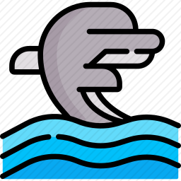 海豚