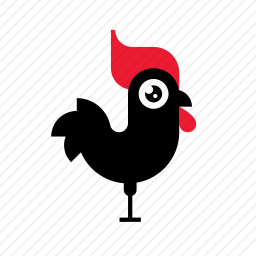 公鸡