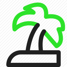 棕榈树
