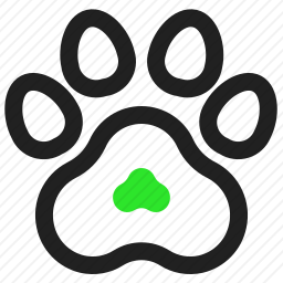 爪子