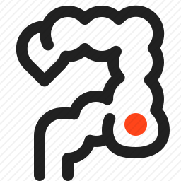肠道