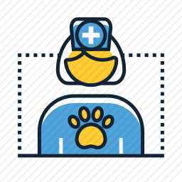<em>兽医</em>