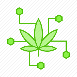 大麻