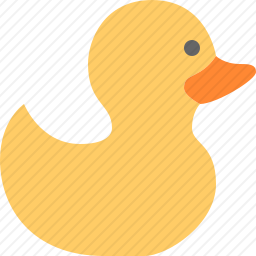 鸭子