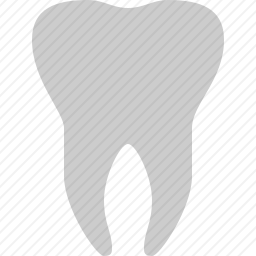 <em>牙齿</em>
