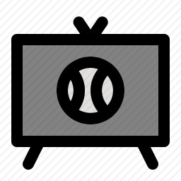 <em>电视</em>