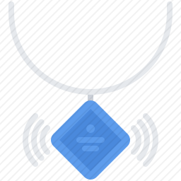 <em>项链</em>