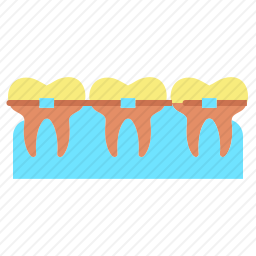 <em>牙齿</em>