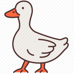 鸭子