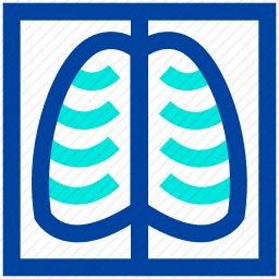X<em>光</em>