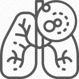 <em>肺</em>