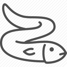 鱼