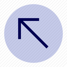 向上