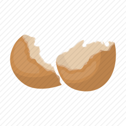 鸡蛋壳