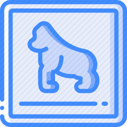 大猩猩