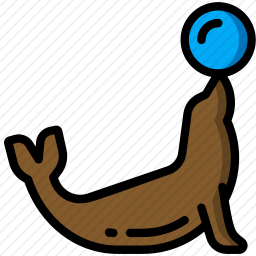 海狮