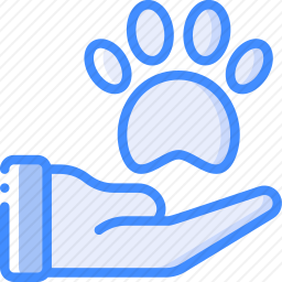 <em>动物</em>疗法