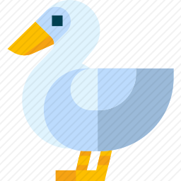 鸭子