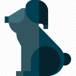<em>考拉</em>