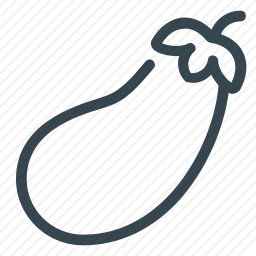 <em>茄子</em>