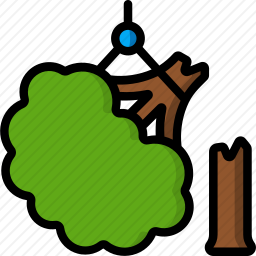伐树