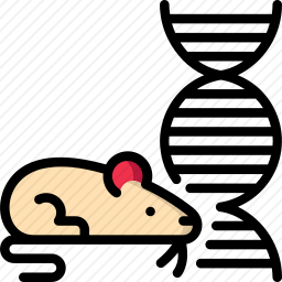 鼠标
