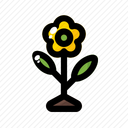 <em>花</em>