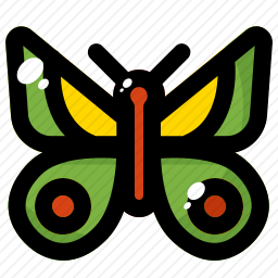 <em>蝴蝶</em>