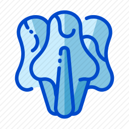 <em>生菜</em>