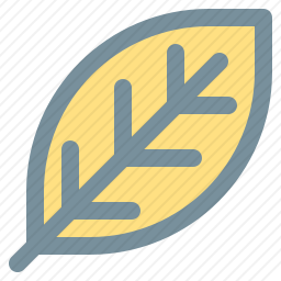 <em>叶子</em>