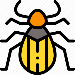 <em>甲虫</em>