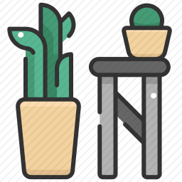 植物