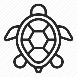 <em>乌龟</em>
