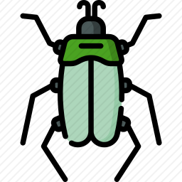 <em>甲虫</em>