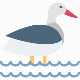 <em>海鸥</em>