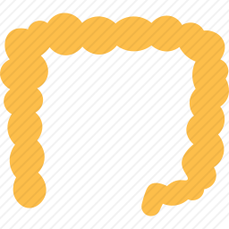 <em>黎加</em>